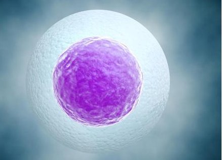 疱疹病毒能做试管生孩子吗？多少钱？