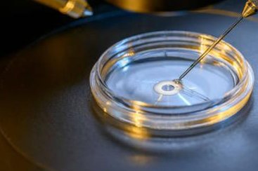 沈阳盛京医院做一次胚胎移植的费用大概要多少钱