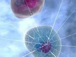 马来西亚试管婴儿较好医院推荐与成功率对比分析详解