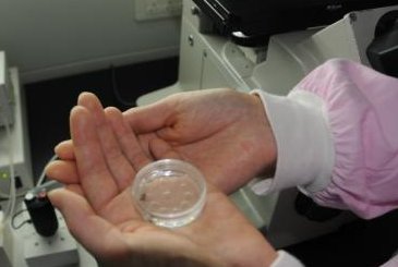 三代生孩子的价格大概是多少？长沙三代生孩子需要多少钱？